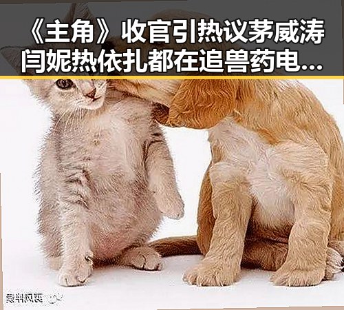 《主角》收官引热议茅威涛闫妮热依扎都在追 兽药电子烟制售环节呈类毒品化特征引关注