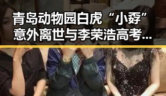 青岛动物园白虎“小孬”意外离世与李荣浩高考三度失利引发的关注变化