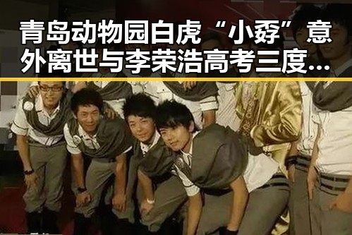 青岛动物园白虎“小孬”意外离世与李荣浩高考三度失利引发的关注变化